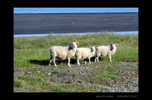 Island 2013 (kalendář)